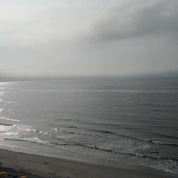 Meet your Posher, Amy - Picture 1 of 1